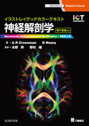 イラストレイテッドカラーテキスト神経解剖学 原著第5版