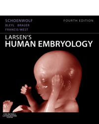 Larsen's Human Embryology, 4E