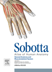 Sobotta Atlas of Human Anatomy: Volume 1, 15th ed., English/Latin
